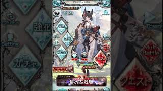 2023 闇有利古戦場 Hell95 (Dark gw)