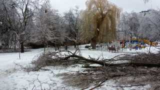 Ice Storm in Toronto - Aftermath (Dec.22, 2013)