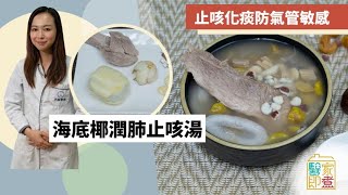 【湯水食譜】海底椰潤肺止咳湯 冬天潤肺湯水化痰滋潤防氣管敏感