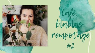 café blabla rempotage 2