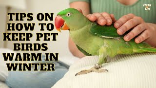 🔝10 Tips on How to Keep Pet Birds🐦 Warm in Winter | Parrots Winter Care 2023 | Pets and Us