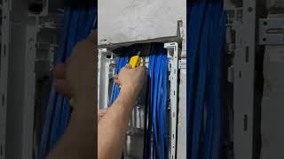 satisfying electrician video #tools #wireing #wire #wirring #electricial #electriciantools #fyp