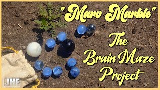 "Marv Marble" [MUSIC VIDEO] | The Brain Maze Project