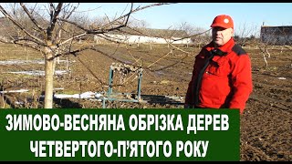 №119 Зимово-весняна обрізка волоського горіха четвертого-п'ятого року від посадки