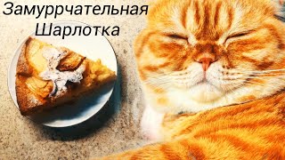 Рецепт Яблочного Пирога. Быстро, Просто и Очень Вкусно!