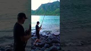 Hooked something massive, line snapped later #hawaii #fishing #fishinglife  #islandlife and