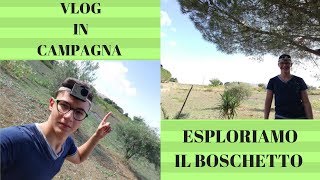 ESPLORIAMO IL BOSCHETTO INSIEME A MIA SORELLA - Vlog in campagna