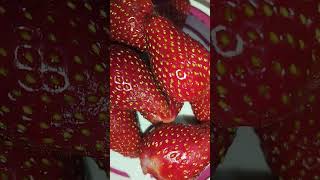 Egyptian strawberry 🍓#fresh #fruit #shortsvideo #shorts