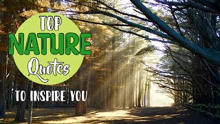 TOP NATURE QUOTES TO INSPIRE YOU