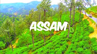 Assam 4k Video | Assam Travel Vlog | Assam Tourist Places In English Songs