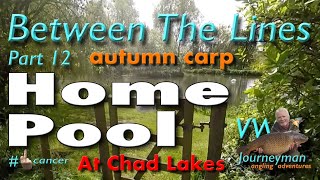 Carp Fishing At Home Pool - Between The Lines - Part 12 #carpfishing #fishingtips