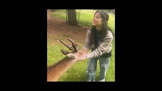 Jenna with Animals! 😍#shorts #jennaortega#animals#animallove#foryou