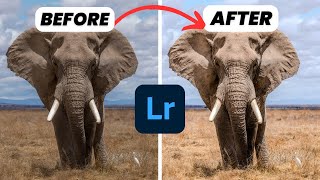 Unlock Pro-Level Photography with Lightroom HDR