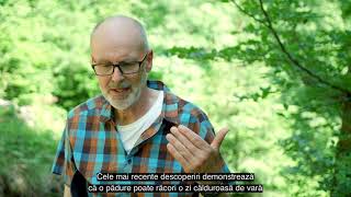 Peter Wohlleben in Romania | Pădurile și agricultura | Forests and agricuture