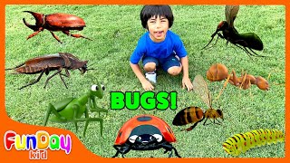 BUG HUNT!! | Fun Videos for Kid with Urvi & Apu - @FunDayKid