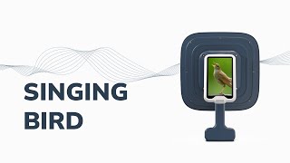 Birdsong nature sounds visualization | Sorama Acoustic Camera