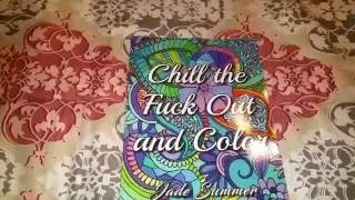 Jade Summer Adult Coloring Book with Swear Words Review