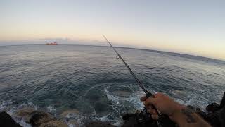 Emisión en directo de Mazo fishing