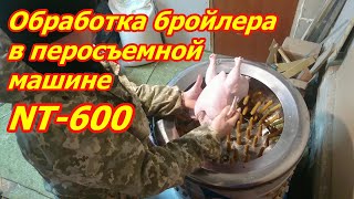 Обработка бройлера в перосъемной машине NT 600