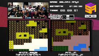 Zelda II (NMG Race) by Pro_JN, Arctic_Eagle in 1:01:22, 1:02:34 - ESA 2013