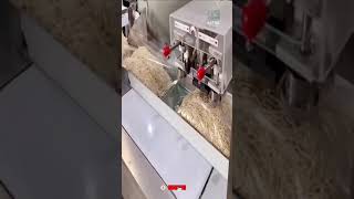 Noodles Packaging Machine | Astra Technology #shorts