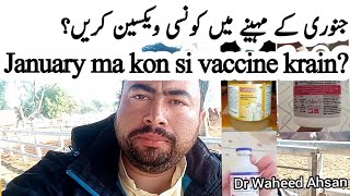 January k mahinay ma kon si vaccine krain - Dr Waheed Ahsan