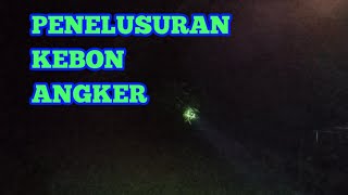 Penelusuran Kebon Angker