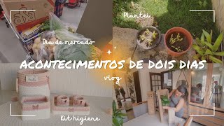 DIA DE MERCADO | TENTANDO FAZER HORTINHA | KIT HIGIENE CHEGOU | MEU CABELO PAROU DE CAIR | VLOG