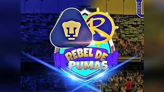 Pumas vs América Jornada 3 (2018)