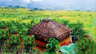 Munnar kerala tourism video ( aerial view )