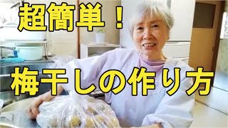 【梅干しの作り方】超簡単で、重石も紫蘇もいらない作り方