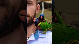 How I got covered in bird poop at the KL Bird Park Kuala Lumpur Malaysia