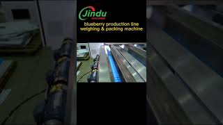 Blueberry Packing Machine Solution #machine  #packagingmachine #equipment #food #fruit #weighing