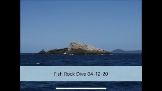 Diving Fish Rock 04-12-2020