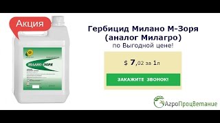 Купить Гербицид Милано М-Зоря Оптом. Аналог Милагро