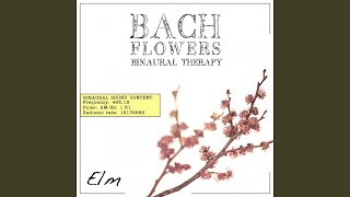 Elm EFT Dose Therapy (Binaural Real Frequency from Bach Flowers)