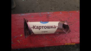 Обзор и дегустация сырка Картошка от Савушкина продукта (11.05.2024)