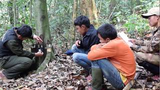 Camera-trap surveys for wildlife monitoring in Nakai-Nam Theun National Park, Laos