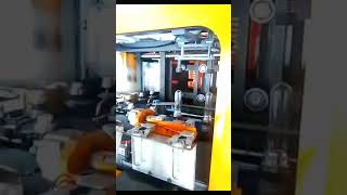 5L 2cavity blowing machine