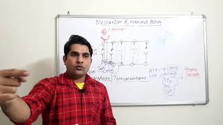 Mechanism of Hormone Action | Endocrinology (Neet Biology)