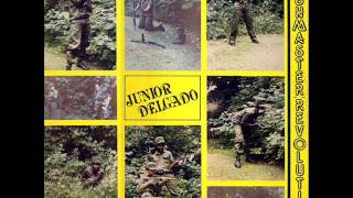 Junior Delgado - Falling in love with you