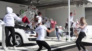 Ice hockey WC 2013 Helsinki Skoda Harlem Shake