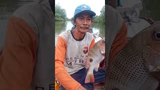 ikan kakap tompel