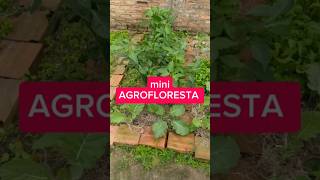 mini AGROFLORESTA