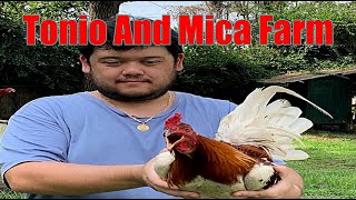 Lets Visit The Farm Of Tonio And Mica Gamefarm