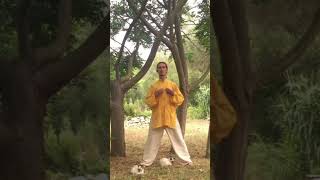 Qi Gong meditation for Summer. #qigongmeditation #cats #kittens