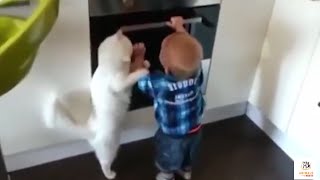 Cat Stops Child Burning By Stove - Pets Guarding Their Owners