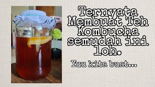 Belajar Membuat teh Kombucha Yuuu