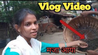 रोकोच जील || santali vlog video ||#vlog #santali_vlog