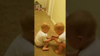 Cute twins babies fighting over remote